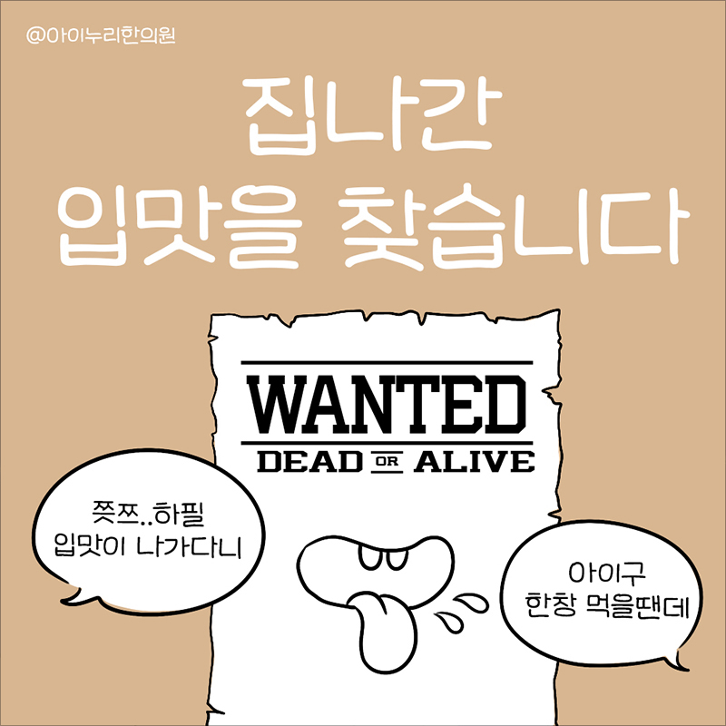 집나간 입맛을 찾습니다.