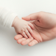 어른의 손을 잡고 있는 애기의 손