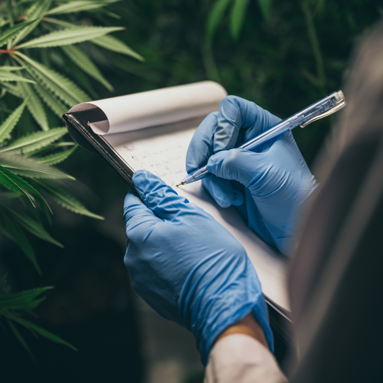 첨단 탕전 시스템 연구를 진행하는 과학자의