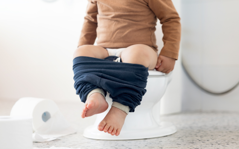 배변 습관 개선